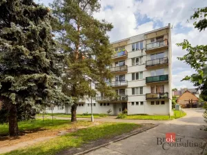 Prodej bytu 2+1, České Budějovice - České Budějovice 3, Lipenská, 60 m2