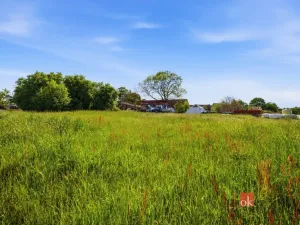 Prodej rodinného domu, Třebechovice pod Orebem - Nepasice, 150 m2