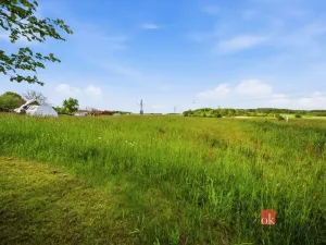 Prodej rodinného domu, Třebechovice pod Orebem - Nepasice, 150 m2