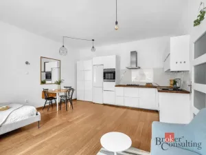Prodej bytu 1+kk, Praha - Bubeneč, N. A. Někrasova, 49 m2