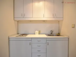 Pronájem bytu 3+1, Brno - Staré Brno, Pekařská, 126 m2
