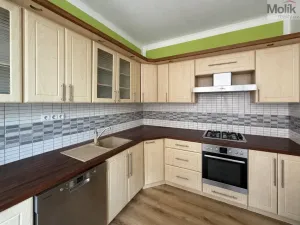 Prodej rodinného domu, Teplice - Trnovany, Thámova, 360 m2