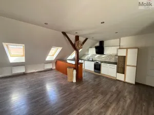 Prodej rodinného domu, Teplice - Trnovany, Thámova, 360 m2