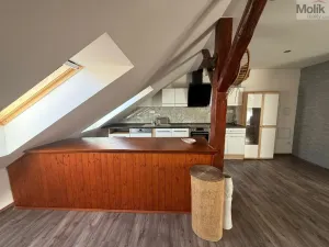 Prodej rodinného domu, Teplice - Trnovany, Thámova, 360 m2
