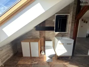 Prodej rodinného domu, Teplice - Trnovany, Thámova, 360 m2