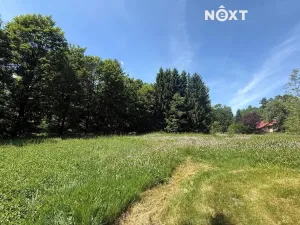 Prodej pozemku pro bydlení, Roprachtice, 2554 m2