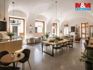 Pronájem obchodního prostoru, České Budějovice - České Budějovice 1, Hradební, 142 m2