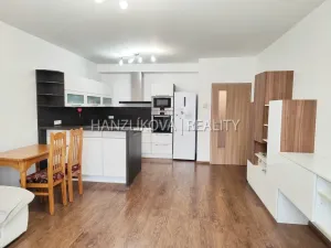 Pronájem bytu 3+kk, České Budějovice - České Budějovice 3, B. Smetany, 78 m2