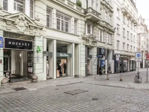 Pronájem bytu 1+kk, Brno - Brno-město, Panská, 39 m2