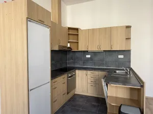 Pronájem bytu 1+kk, Brno - Brno-město, Panská, 39 m2