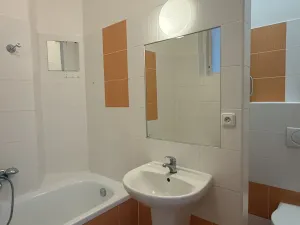 Pronájem bytu 1+kk, Brno - Brno-město, Panská, 39 m2