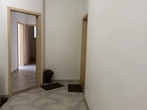 Pronájem bytu 1+kk, Brno - Brno-město, Panská, 39 m2