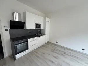 Pronájem bytu 1+kk, Praha - Krč, U strže, 25 m2