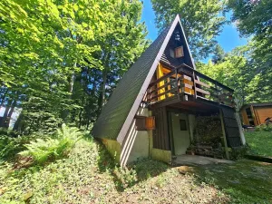 Prodej chaty, Nový Hrozenkov, 40 m2