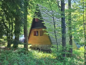 Prodej chaty, Nový Hrozenkov, 40 m2