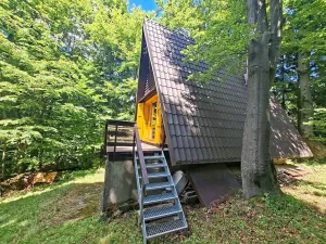 Prodej chaty, Nový Hrozenkov, 40 m2