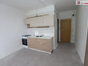 Pronájem bytu 1+1, Cheb, Dvořákova, 36 m2