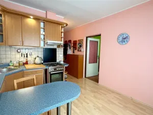 Pronájem bytu 1+1, Cheb, Mánesova, 36 m2