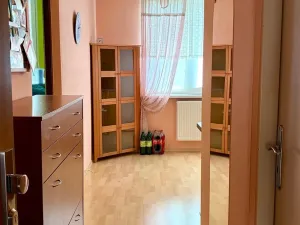 Pronájem bytu 1+1, Cheb, Mánesova, 36 m2