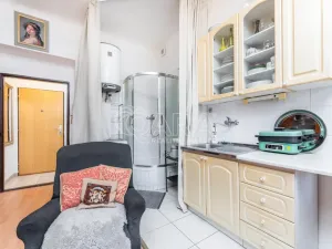 Prodej bytu 1+kk, Praha - Nusle, Sezimova, 22 m2