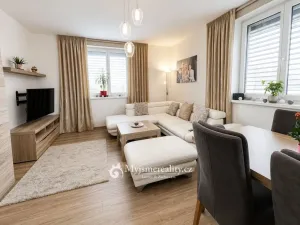 Prodej bytu 4+kk, Znojmo, Vídeňská třída, 169 m2
