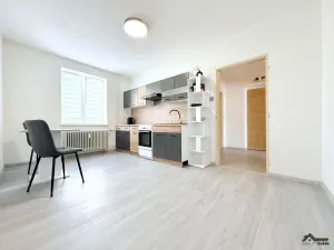Pronájem bytu 1+1, Ostrava, Prostorná, 54 m2