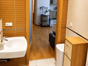 Pronájem bytu 2+kk, České Budějovice, Matice školské, 60 m2