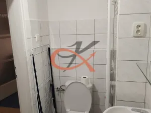 Pronájem bytu 1+1, Lipník nad Bečvou, Nerudova, 36 m2