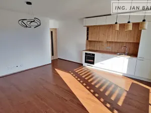 Pronájem bytu 3+kk, Jihlava, Vrchlického, 83 m2
