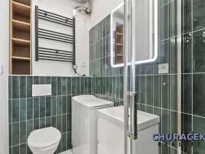 Pronájem bytu 1+kk, Praha - Nusle, Oldřichova, 20 m2