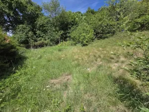 Prodej zahrady, Český Krumlov - Vyšný, 316 m2