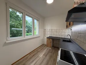 Pronájem bytu 2+1, Most, Pionýrů, 54 m2