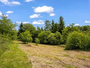 Prodej pozemku pro bydlení, Vysoké nad Jizerou, 1785 m2