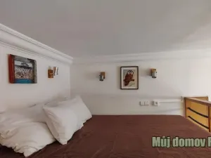 Pronájem bytu 1+1, Praha - Nové Město, Hálkova, 38 m2