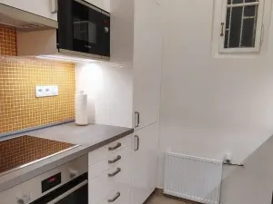 Pronájem bytu 1+1, Praha - Nové Město, Hálkova, 38 m2