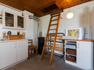 Prodej chaty, Bílina, Mládežnická, 35 m2