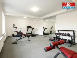 Pronájem bytu 2+kk, Praha - Vinohrady, Perucká, 37 m2