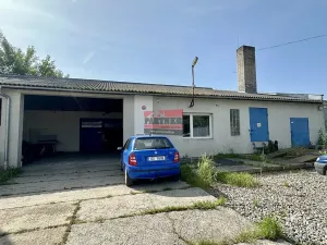 Prodej skladu, Netolice, 30000 m2