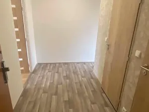 Pronájem bytu 1+1, Brno, Palackého třída, 50 m2