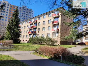 Pronájem bytu 1+1, Praha - Žižkov, Buková, 35 m2