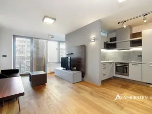 Pronájem bytu 1+kk, Brno, Kopečná, 40 m2