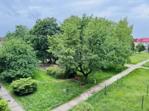 Pronájem bytu 2+1, Sezimovo Ústí, Dukelská, 68 m2