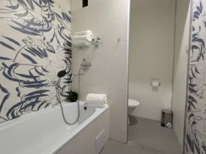 Prodej bytu 1+1, Nový Bor, Boženy Němcové, 36 m2