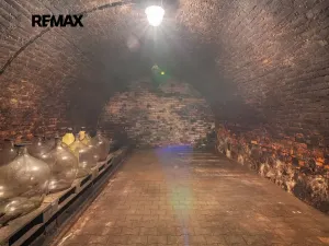 Prodej vinného sklepa, Brod nad Dyjí, 70 m2