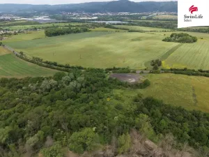 Prodej lesa, Chabařovice, 45243 m2