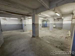 Pronájem obchodního prostoru, Olomouc, Pasteurova, 550 m2
