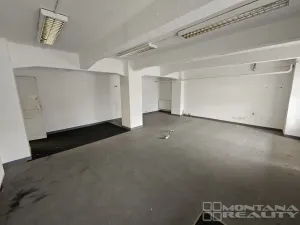 Pronájem obchodního prostoru, Olomouc, Pasteurova, 550 m2