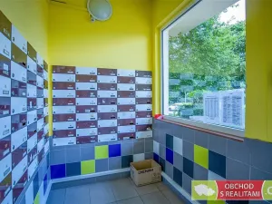 Pronájem bytu 1+kk, Praha, Jahodová, 25 m2