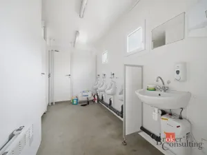 Pronájem skladu, Stěžery, 300 m2