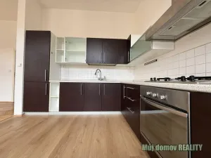 Pronájem bytu 2+kk, Praha - Žižkov, Krásova, 67 m2